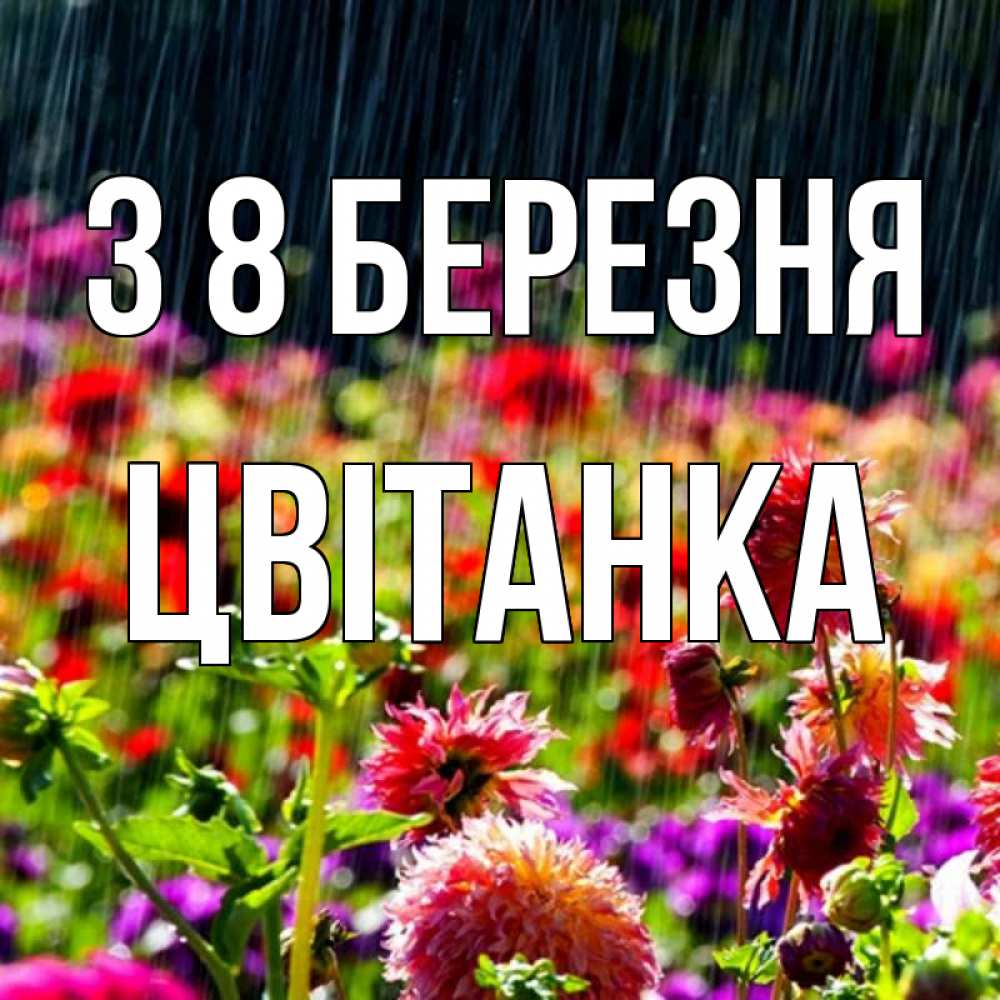Открытка на каждый день з підписом, Цвітанка З 8 БЕРЕЗНЯ цветы под дождиком к международному женскому дню Прикольна листівка з побажанням онлайн скачати безкоштовно 