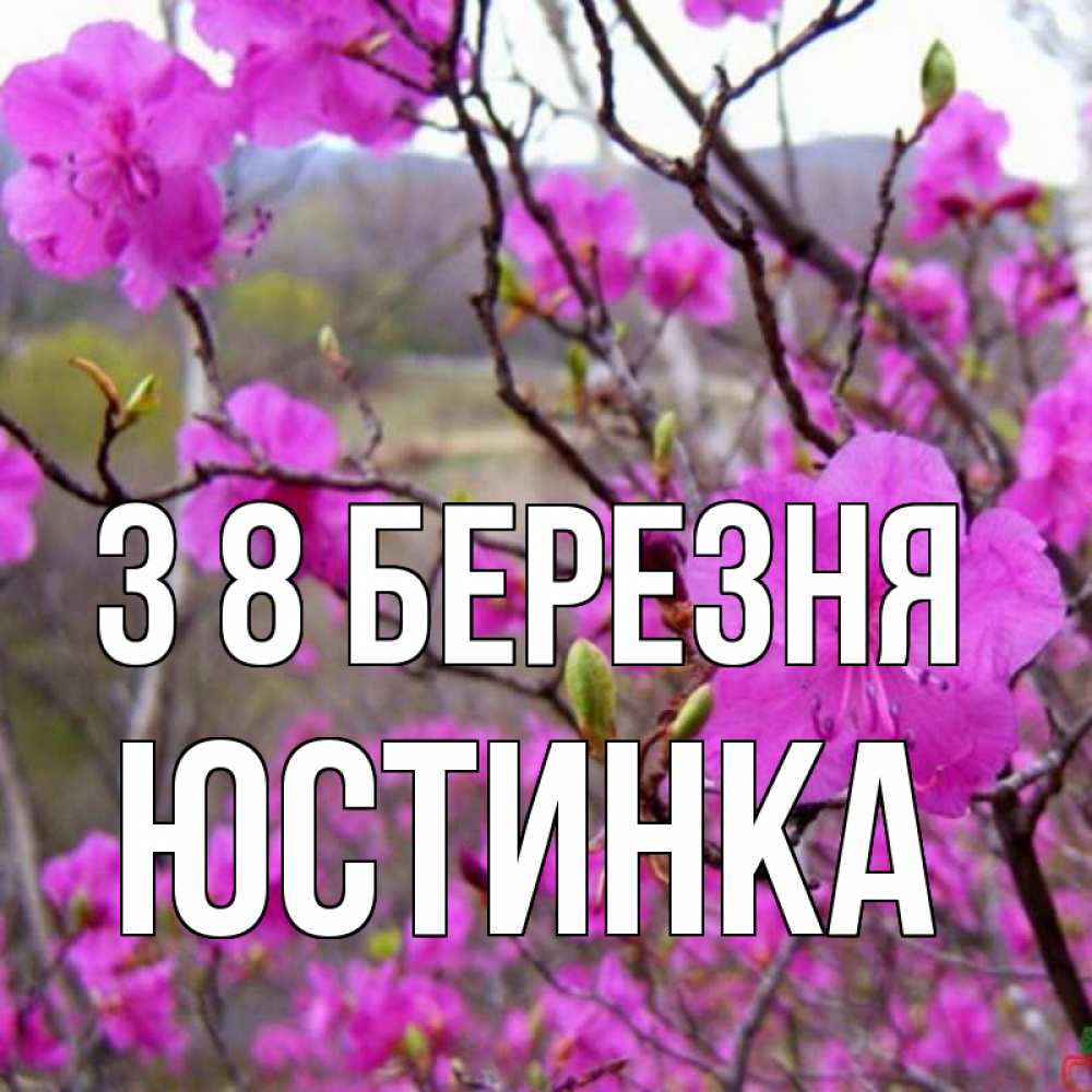 Открытка на каждый день з підписом, Юстинка З 8 БЕРЕЗНЯ международный женский день Прикольна листівка з побажанням онлайн скачати безкоштовно 