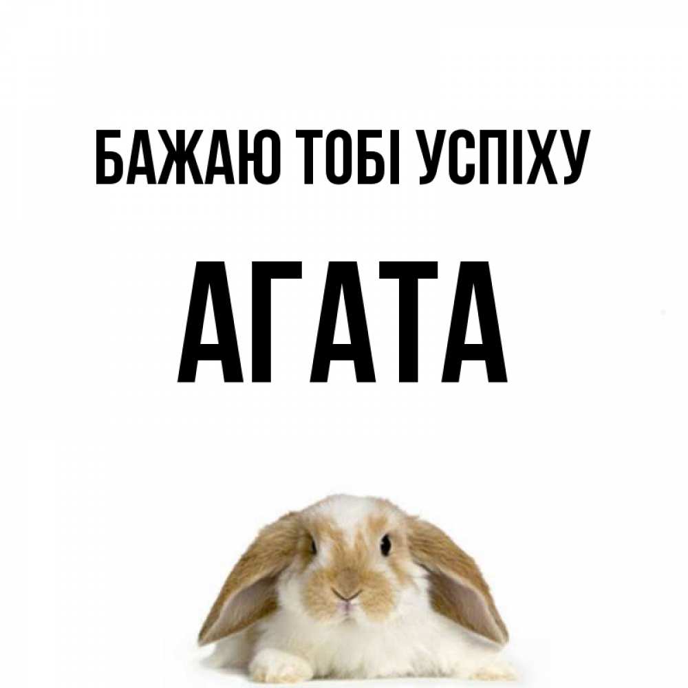Открытка на каждый день з підписом, Агата Бажаю тобі успіху открытки с произвольным текстом который можно вставить в открытку и создать ее самостоятельно бесплатно онлайн Прикольна листівка з побажанням онлайн скачати безкоштовно 
