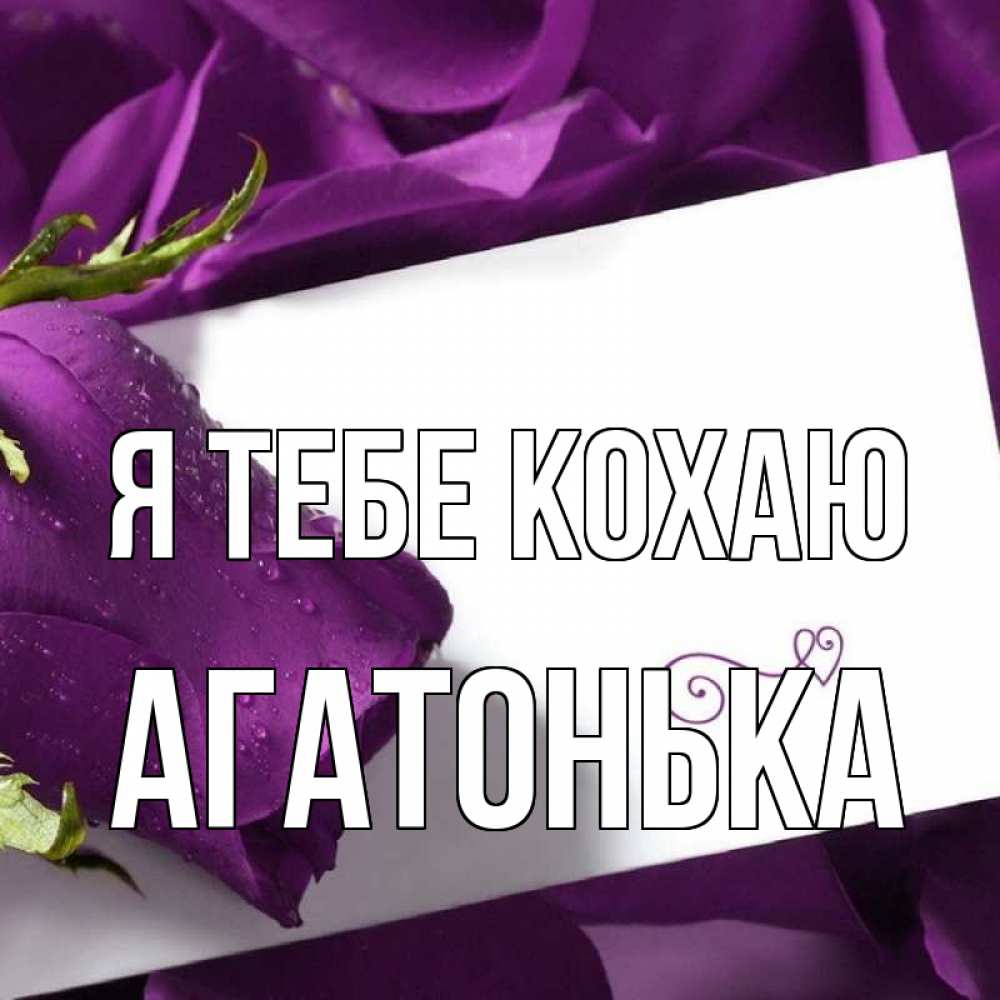 Открытка на каждый день з підписом, Агатонька Я тебе кохаю роза Прикольна листівка з побажанням онлайн скачати безкоштовно 