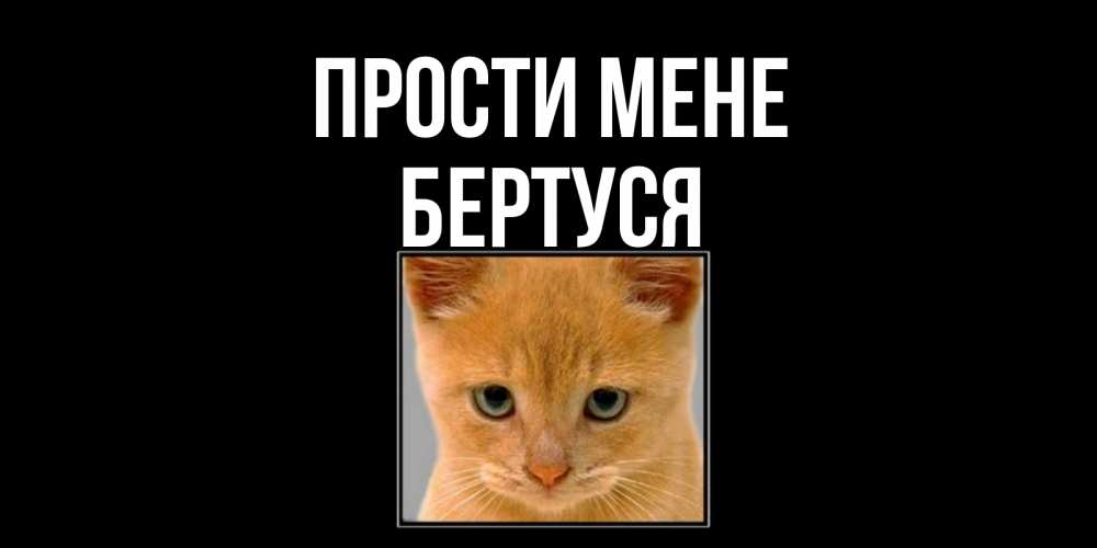 Открытка на каждый день з підписом, Бертуся Прости мене рыжий грустный кот просит прощения Прикольна листівка з побажанням онлайн скачати безкоштовно 
