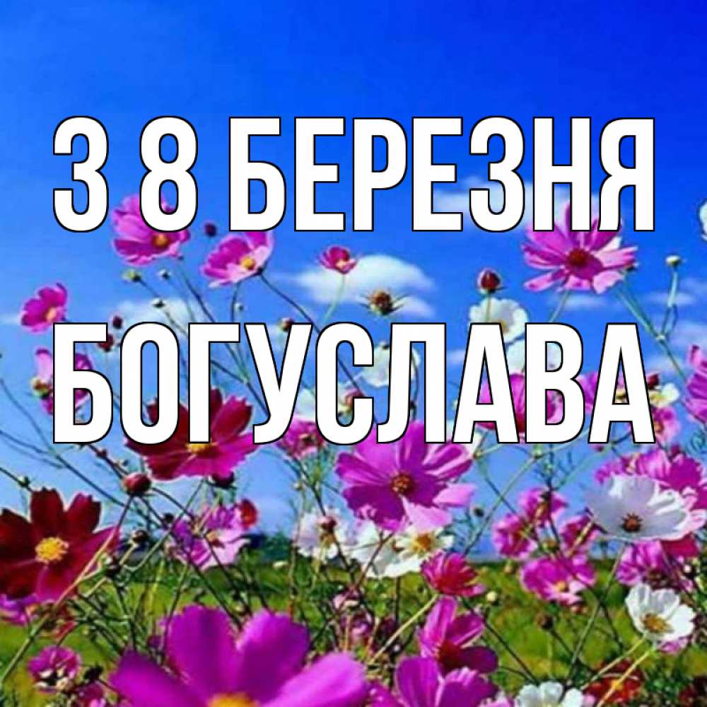 Открытка на каждый день з підписом, Богуслава З 8 БЕРЕЗНЯ цветы Прикольна листівка з побажанням онлайн скачати безкоштовно 