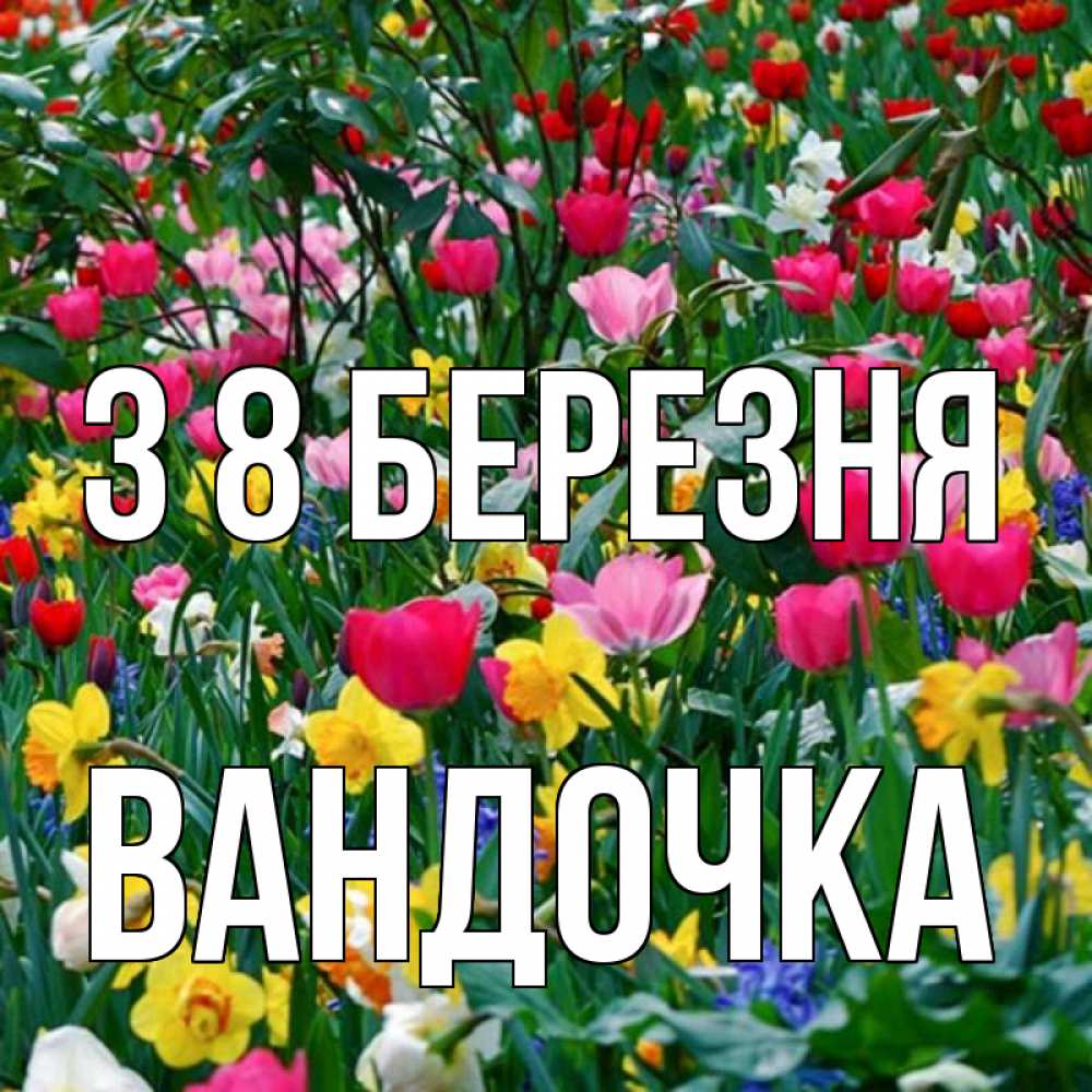 Открытка на каждый день з підписом, Вандочка З 8 БЕРЕЗНЯ с международным женским днем поздравления для женщины Прикольна листівка з побажанням онлайн скачати безкоштовно 