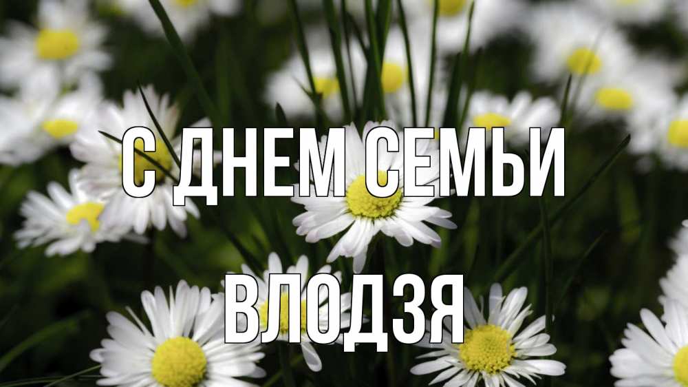 Открытка на каждый день з підписом, Влодзя С днем семьи с днем семьи  2 Прикольна листівка з побажанням онлайн скачати безкоштовно 