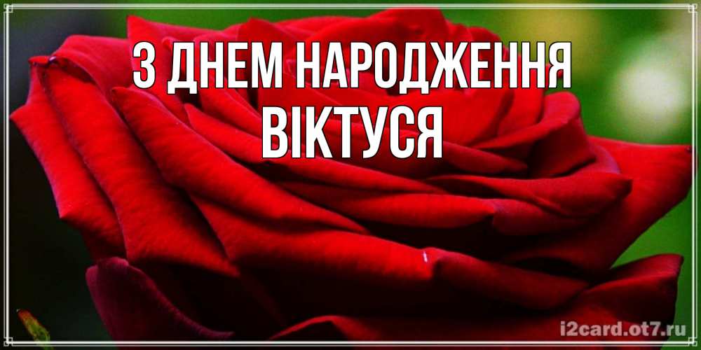 Открытка на каждый день з підписом, Віктуся З Днем народження розочка очень красивая Прикольна листівка з побажанням онлайн скачати безкоштовно 