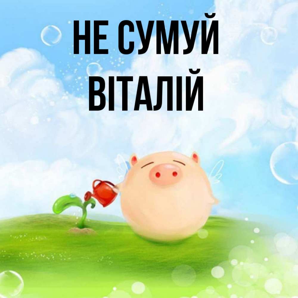 Открытка на каждый день з підписом, Віталій Не сумуй поливает цветок порося Прикольна листівка з побажанням онлайн скачати безкоштовно 