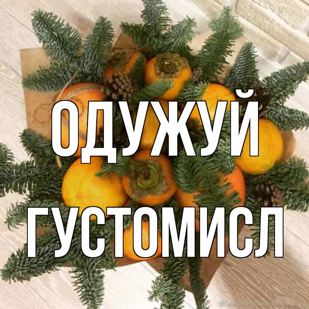 Открытка на каждый день з підписом, Густомисл Одужуй апельсины и хурьма Прикольна листівка з побажанням онлайн скачати безкоштовно 