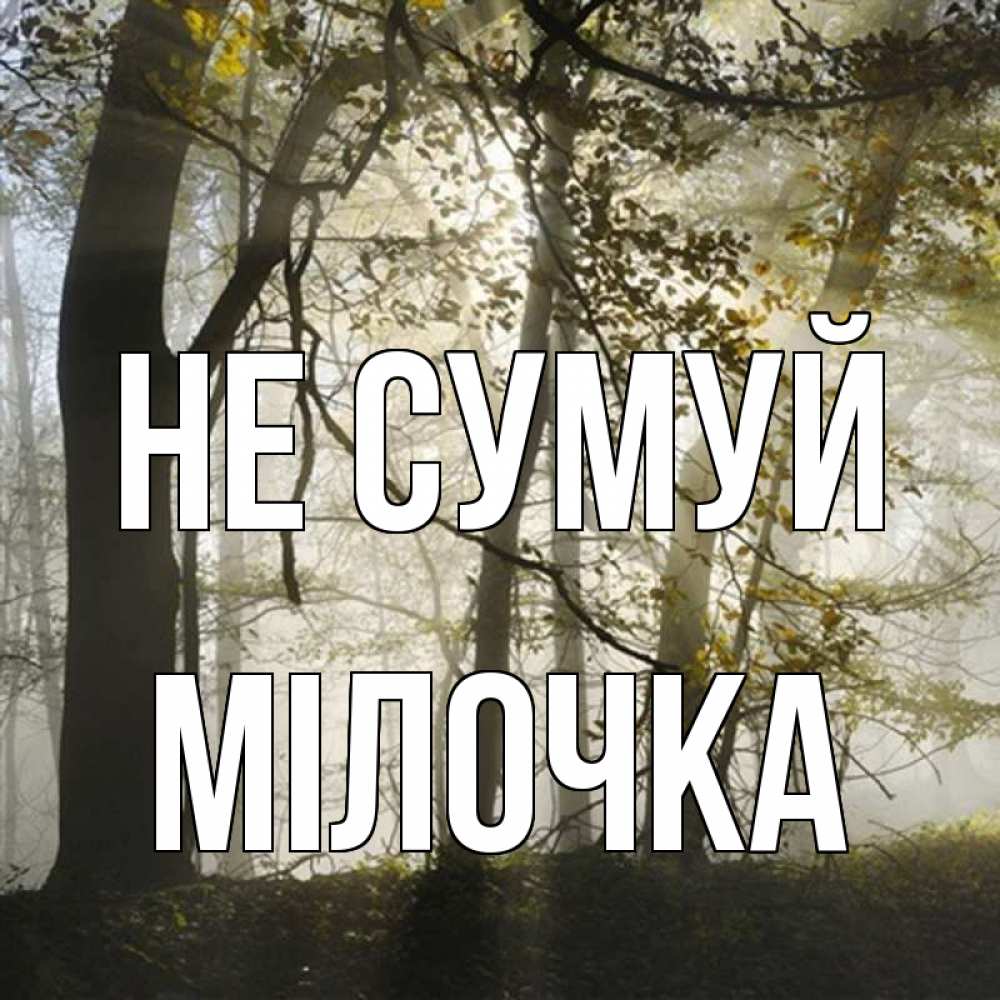 Открытка на каждый день з підписом, Мілочка Не сумуй лес и свет Прикольна листівка з побажанням онлайн скачати безкоштовно 