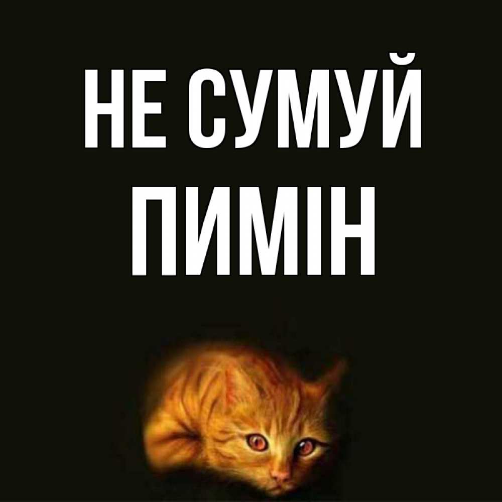 Открытка на каждый день з підписом, Пимін Не сумуй лежащий кот в темноте Прикольна листівка з побажанням онлайн скачати безкоштовно 