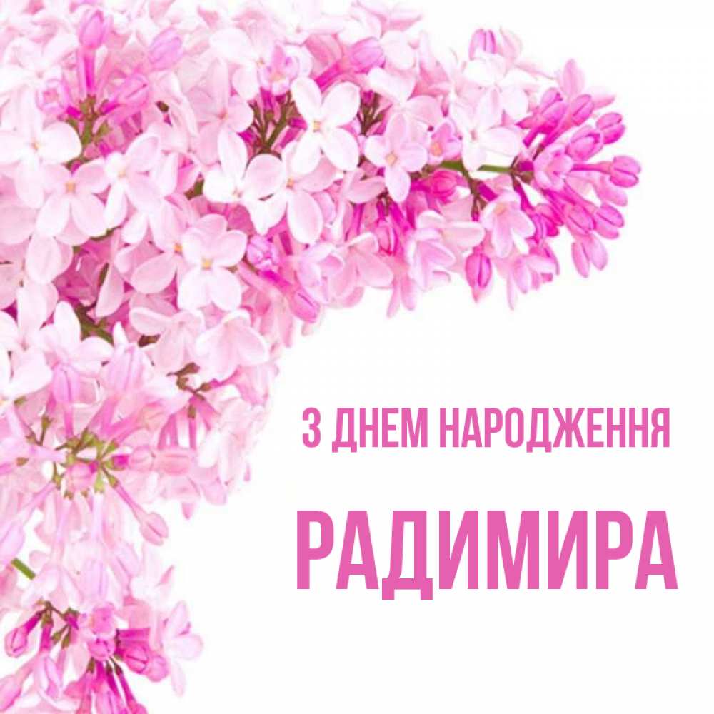 Открытка на каждый день з підписом, Радимира З Днем народження Сирень на белом фоне Прикольна листівка з побажанням онлайн скачати безкоштовно 