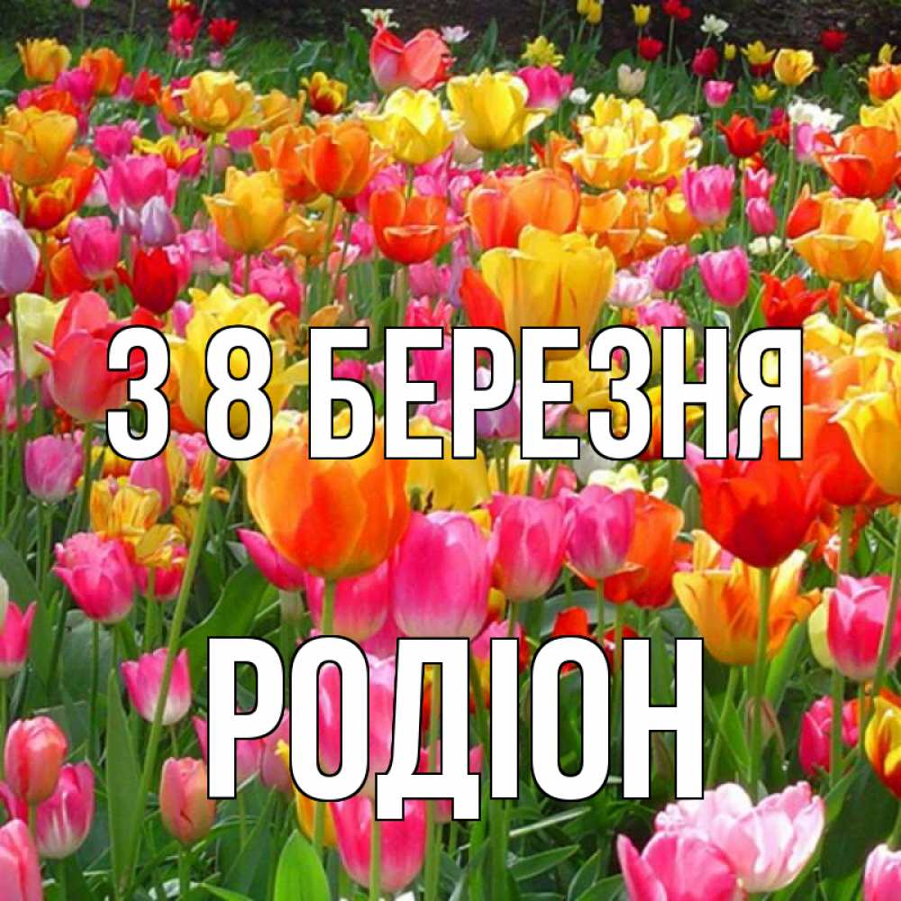 Открытка на каждый день з підписом, Родіон З 8 БЕРЕЗНЯ на международный женский день Прикольна листівка з побажанням онлайн скачати безкоштовно 