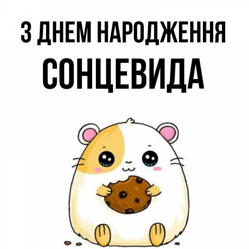 Открытка на каждый день з підписом, Сонцевида З Днем народження с днюхой Прикольна листівка з побажанням онлайн скачати безкоштовно 