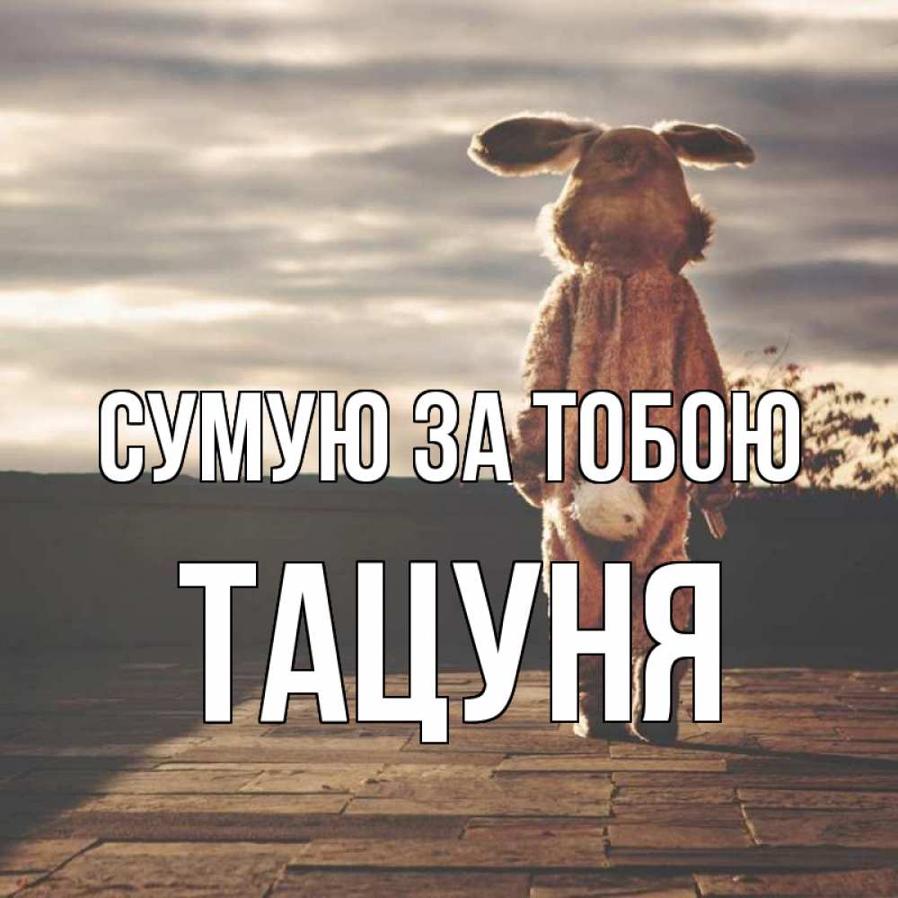 Открытка на каждый день з підписом, Тацуня Сумую за тобою даже в костюме зайца Прикольна листівка з побажанням онлайн скачати безкоштовно 