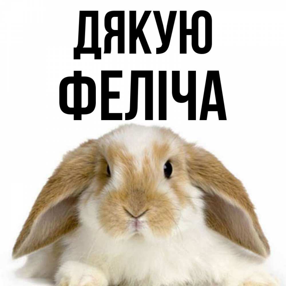 Открытка на каждый день з підписом, Феліча Дякую коричнево белый заяц Прикольна листівка з побажанням онлайн скачати безкоштовно 