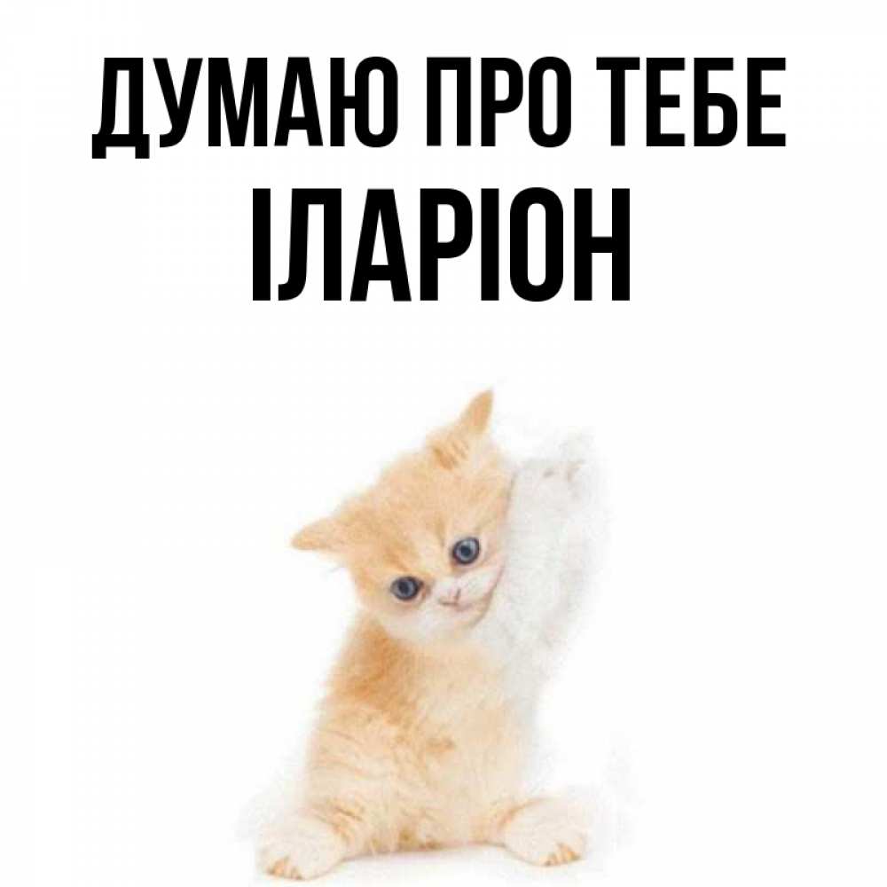Открытка на каждый день з підписом, Іларіон Думаю про тебе зверушки и милота Прикольна листівка з побажанням онлайн скачати безкоштовно 