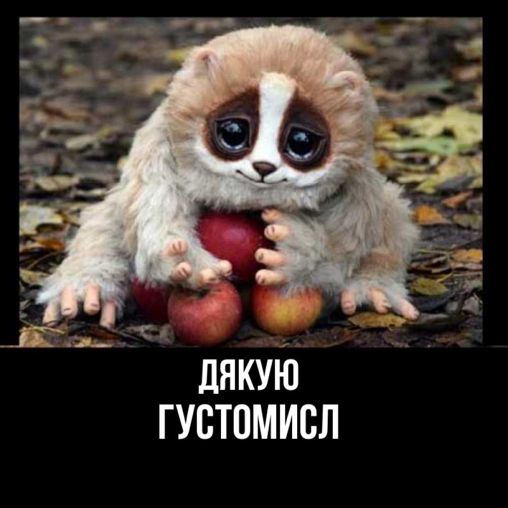 Открытка на каждый день з підписом, Густомисл Дякую прикольное животное Прикольна листівка з побажанням онлайн скачати безкоштовно 