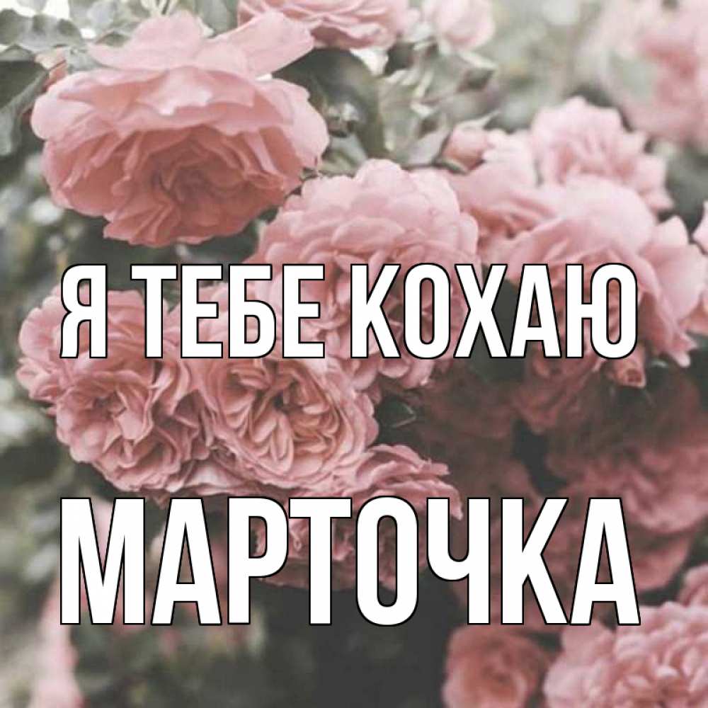 Открытка на каждый день з підписом, Марточка Я тебе кохаю розы 3 Прикольна листівка з побажанням онлайн скачати безкоштовно 
