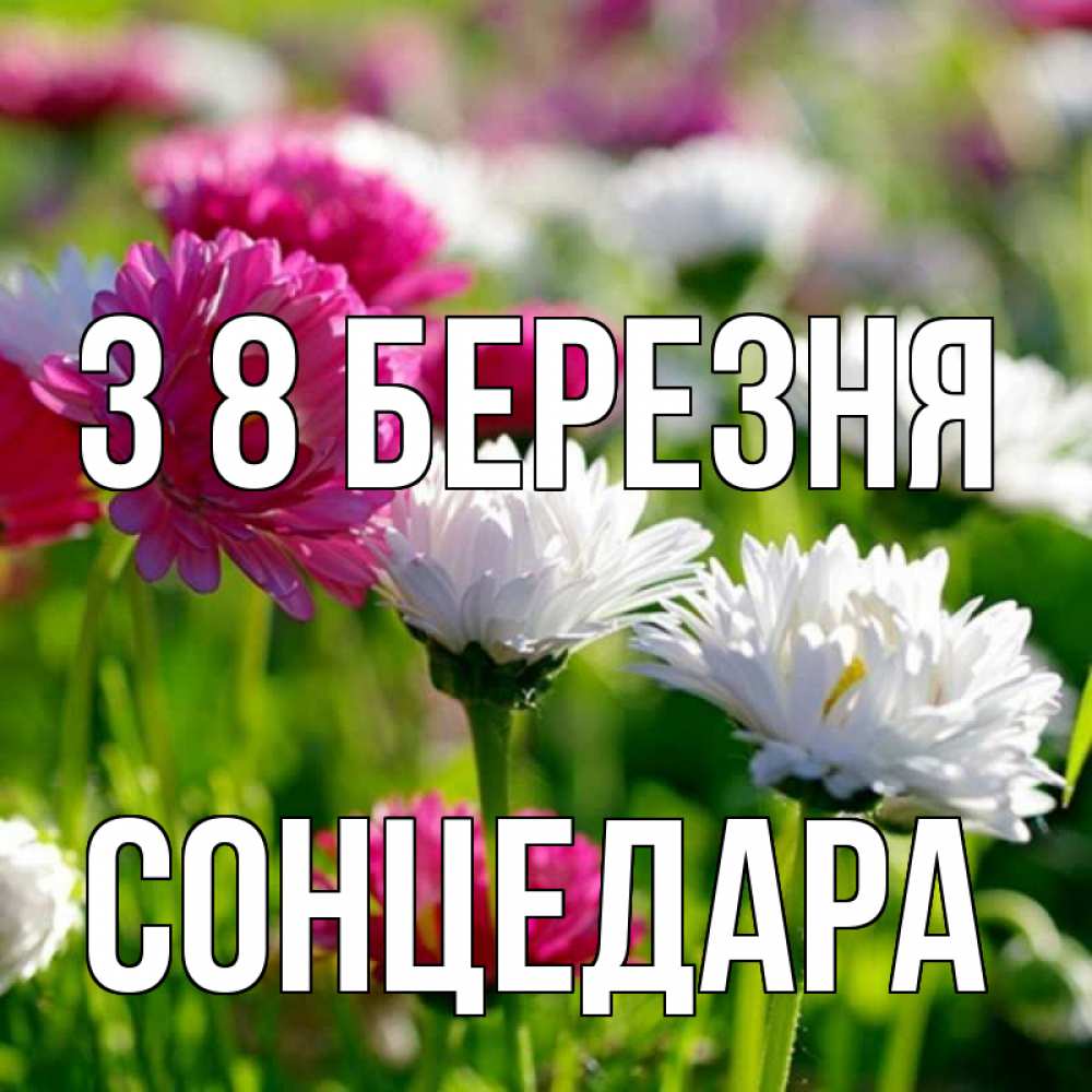 Открытка на каждый день з підписом, Сонцедара З 8 БЕРЕЗНЯ международный женский день 1 Прикольна листівка з побажанням онлайн скачати безкоштовно 