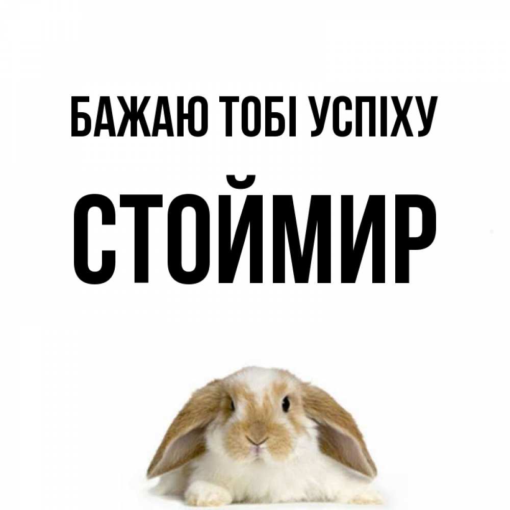 Открытка на каждый день з підписом, Стоймир Бажаю тобі успіху открытки с произвольным текстом который можно вставить в открытку и создать ее самостоятельно бесплатно онлайн Прикольна листівка з побажанням онлайн скачати безкоштовно 