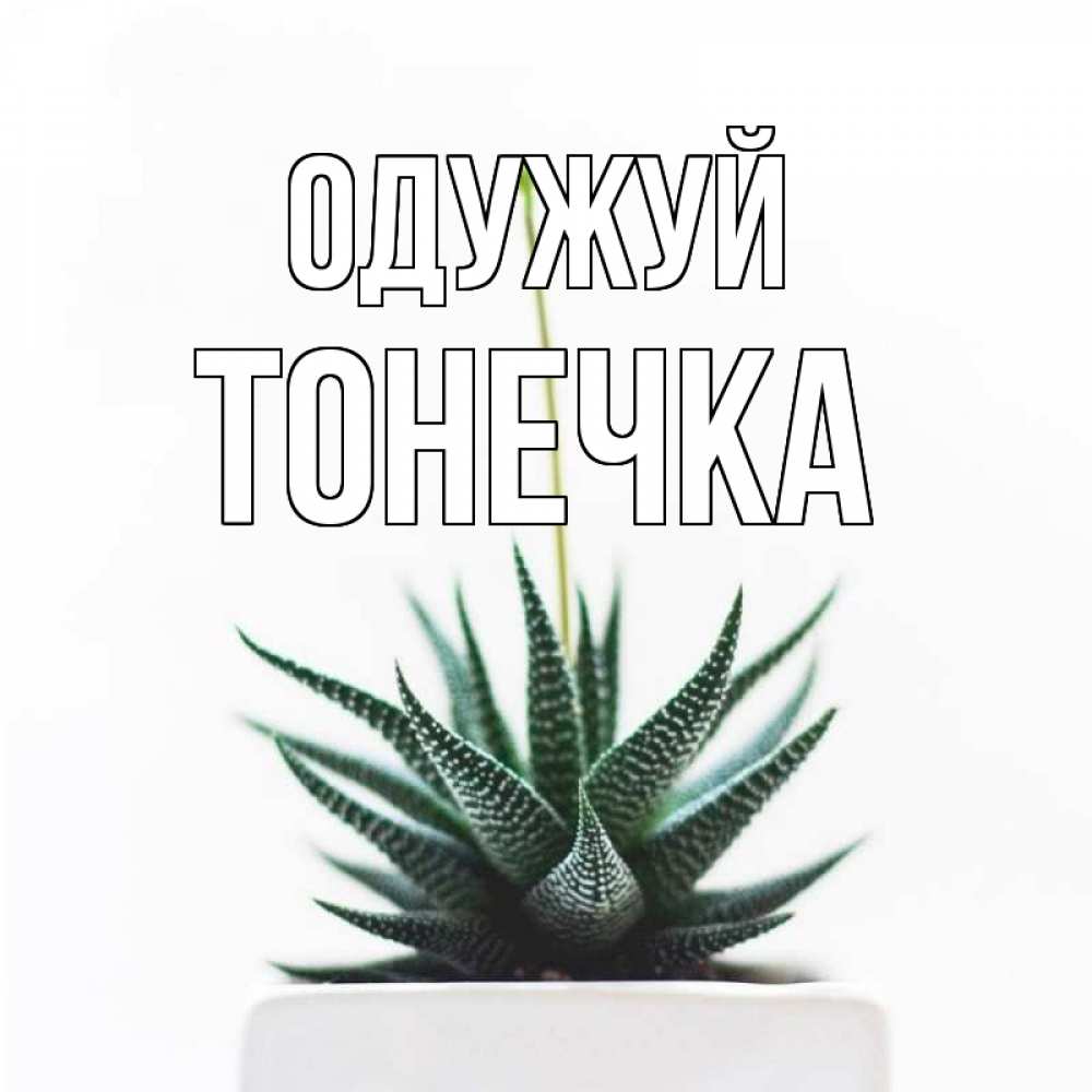 Открытка на каждый день з підписом, Тонечка Одужуй короче это непонятная колючка Прикольна листівка з побажанням онлайн скачати безкоштовно 