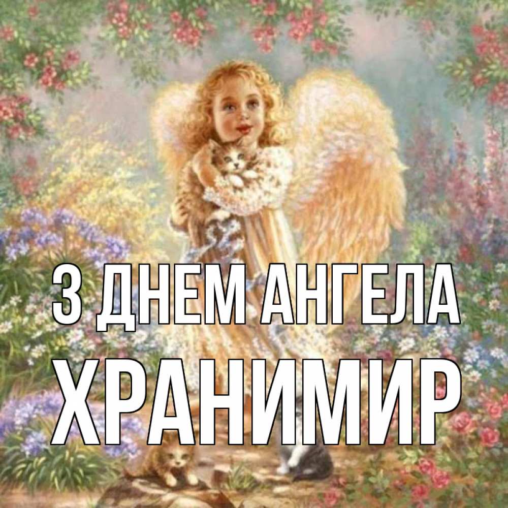 Открытка на каждый день з підписом, Хранимир З Днем ангела держит котенка Прикольна листівка з побажанням онлайн скачати безкоштовно 