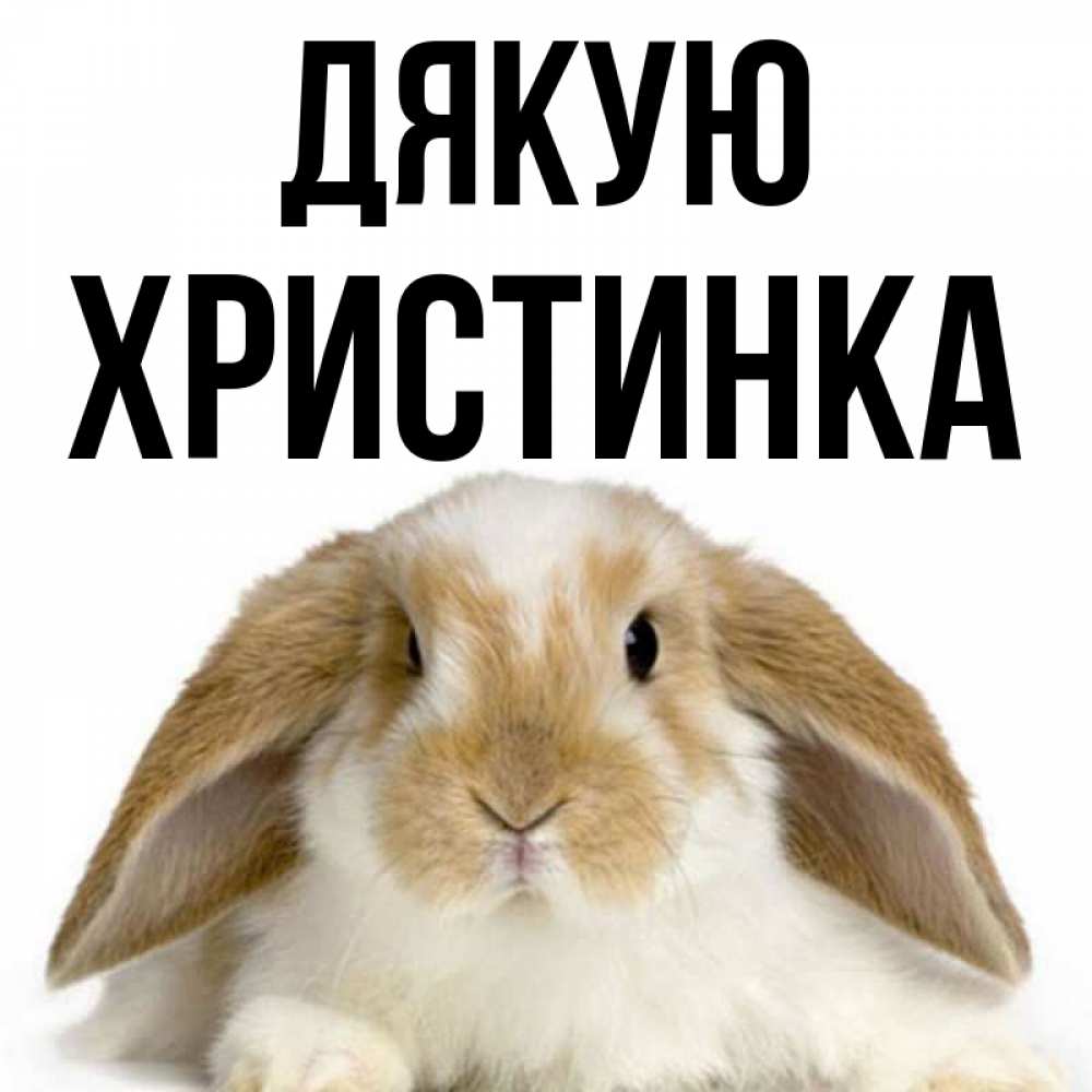 Открытка на каждый день з підписом, Христинка Дякую коричнево белый заяц Прикольна листівка з побажанням онлайн скачати безкоштовно 