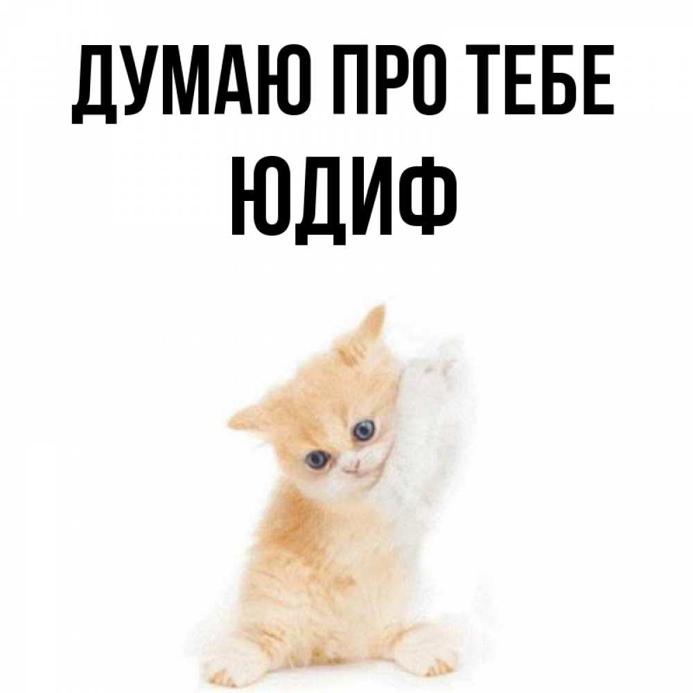 Открытка на каждый день з підписом, Юдиф Думаю про тебе зверушки и милота Прикольна листівка з побажанням онлайн скачати безкоштовно 