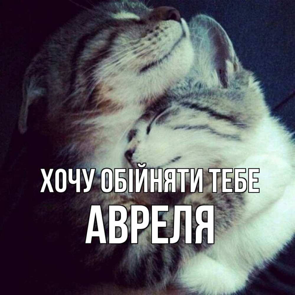Открытка на каждый день з підписом, Авреля Хочу обійняти тебе полосатики Прикольна листівка з побажанням онлайн скачати безкоштовно 
