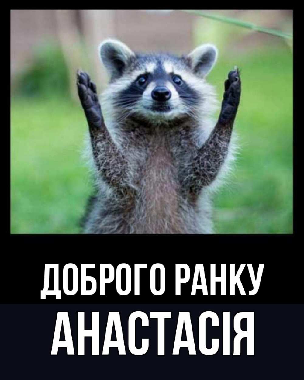 Открытка на каждый день з підписом, Анастасія Доброго ранку хорошее настроение утречком Прикольна листівка з побажанням онлайн скачати безкоштовно 