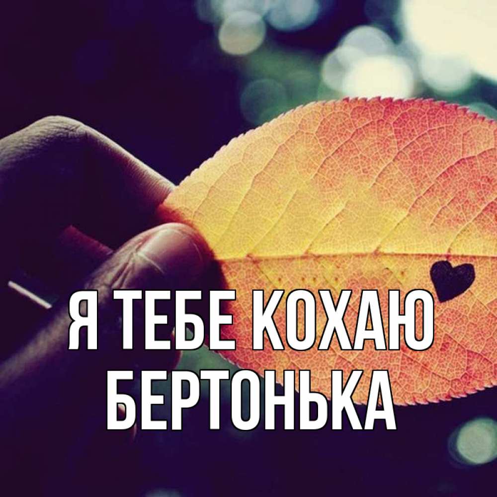 Открытка на каждый день з підписом, Бертонька Я тебе кохаю держу лист Прикольна листівка з побажанням онлайн скачати безкоштовно 