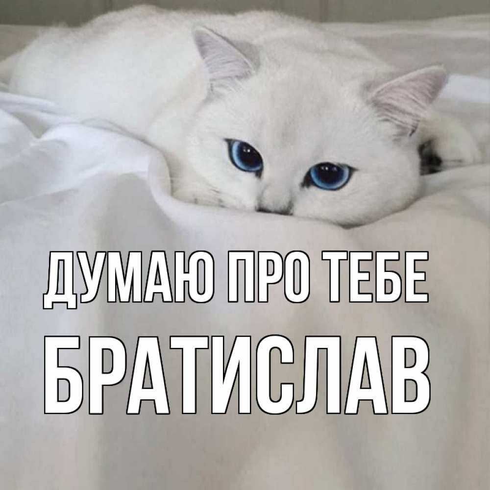 Открытка на каждый день з підписом, Братислав Думаю про тебе я очень по тебе скучаю и тоскую Прикольна листівка з побажанням онлайн скачати безкоштовно 