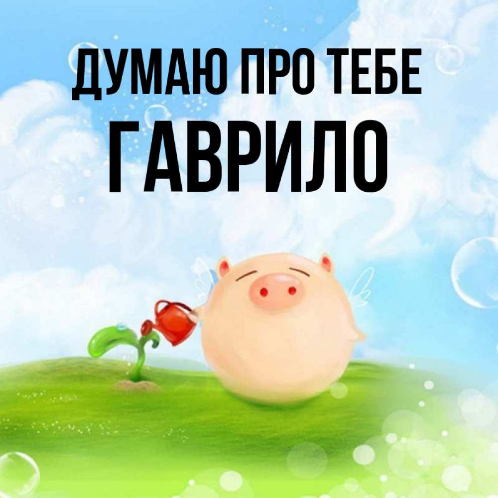 Открытка на каждый день з підписом, Гаврило Думаю про тебе позитивная свинюшка Прикольна листівка з побажанням онлайн скачати безкоштовно 