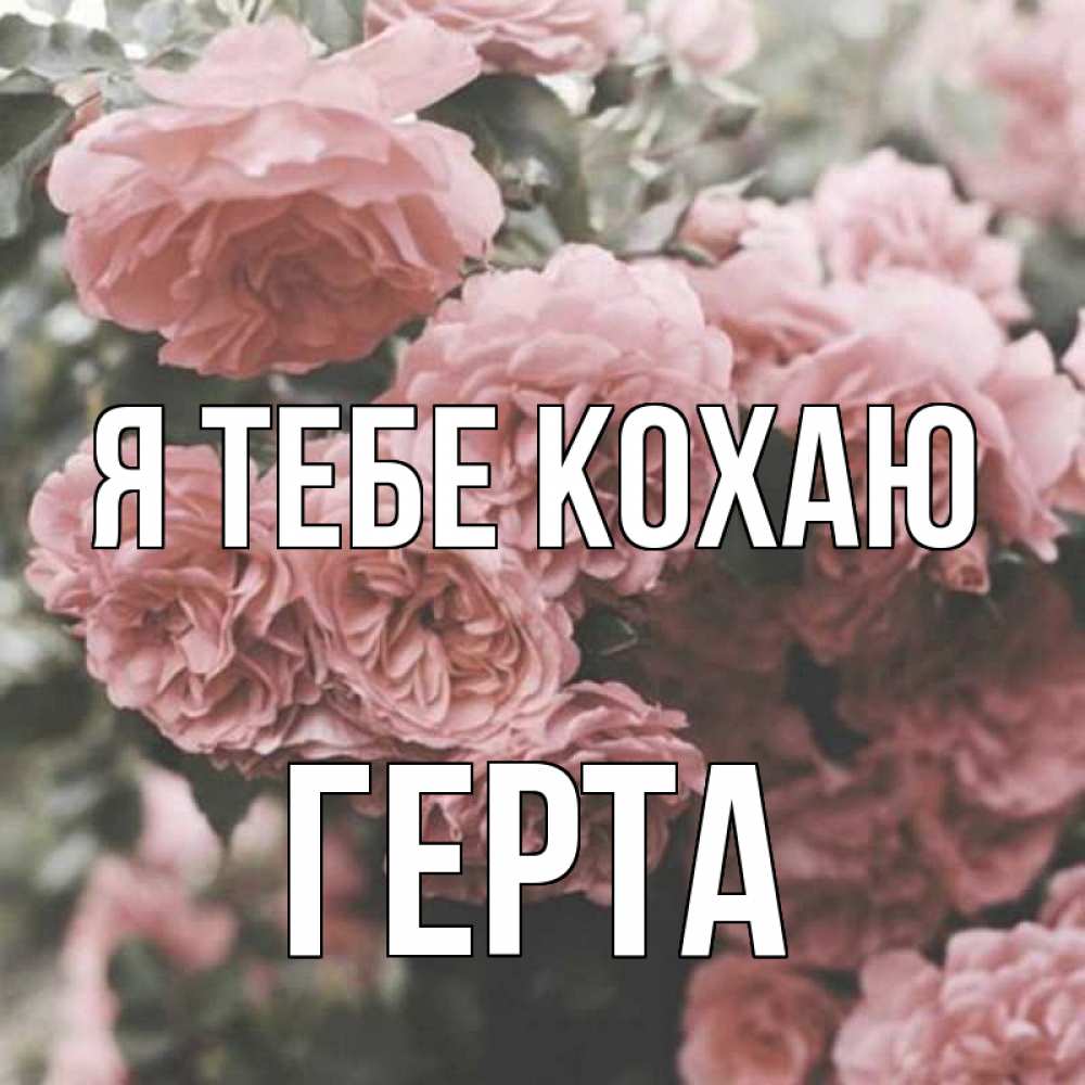 Открытка на каждый день з підписом, Герта Я тебе кохаю розы 3 Прикольна листівка з побажанням онлайн скачати безкоштовно 