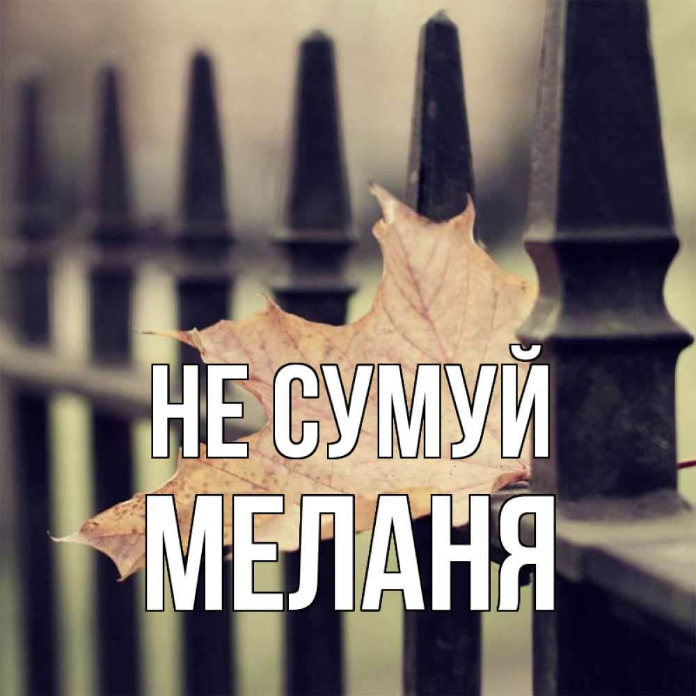 Открытка на каждый день з підписом, Меланя Не сумуй лист клена Прикольна листівка з побажанням онлайн скачати безкоштовно 
