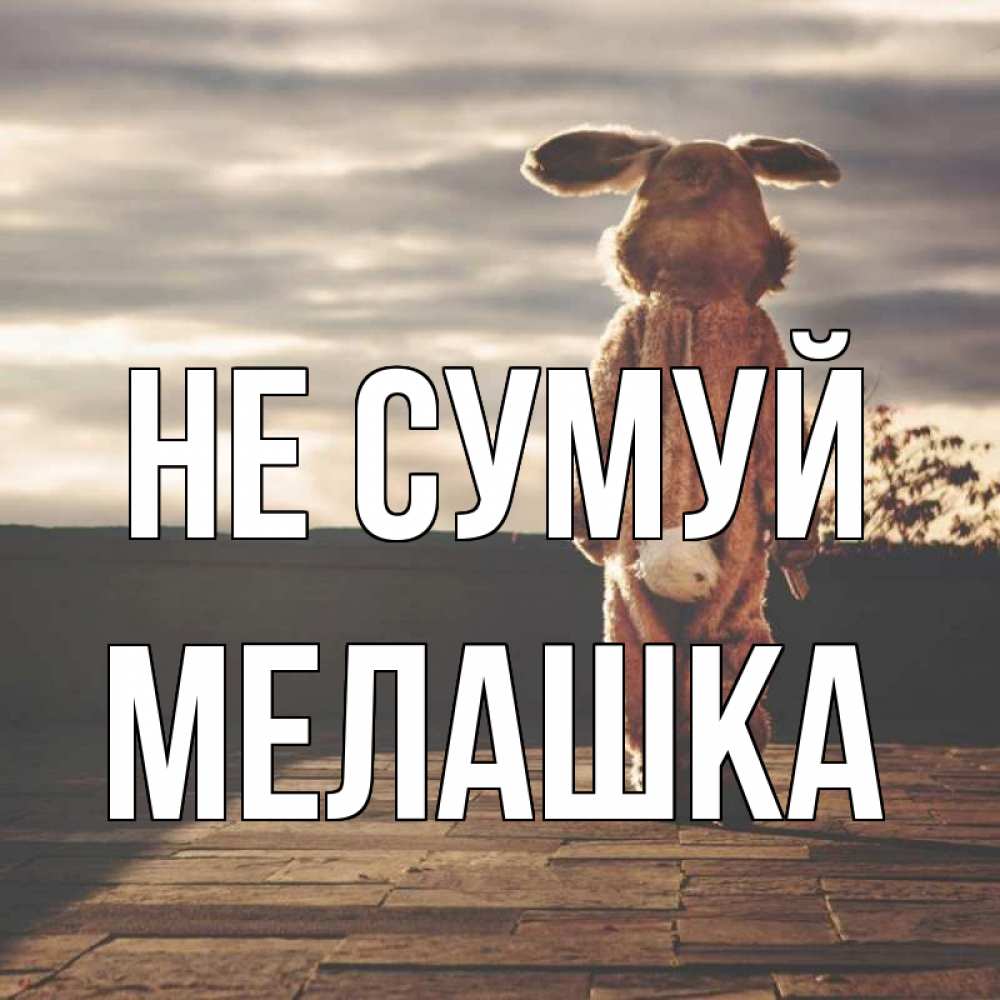 Открытка на каждый день з підписом, Мелашка Не сумуй со спины Прикольна листівка з побажанням онлайн скачати безкоштовно 