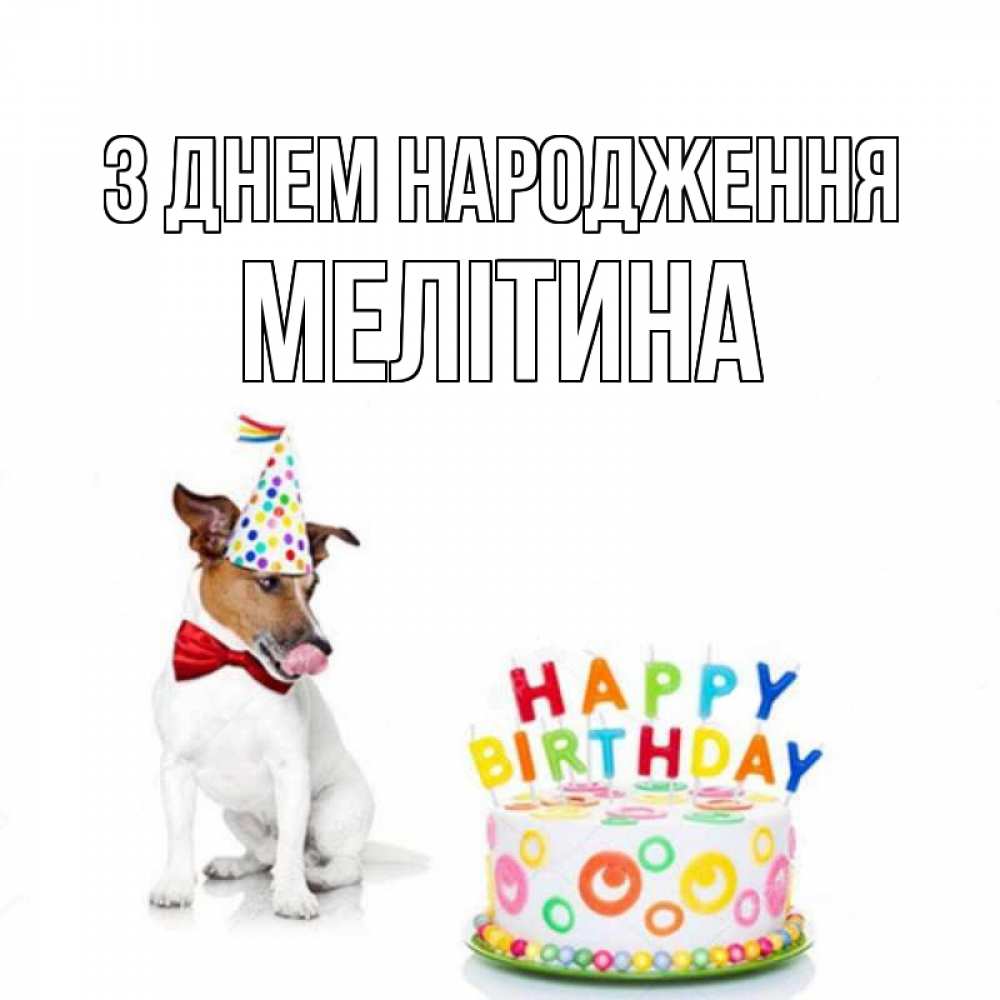 Листівка З Днем народження, Мелітина