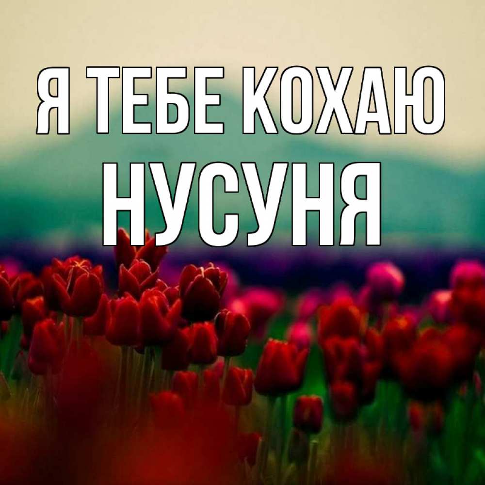 Открытка на каждый день з підписом, Нусуня Я тебе кохаю тюльпаны 4 Прикольна листівка з побажанням онлайн скачати безкоштовно 
