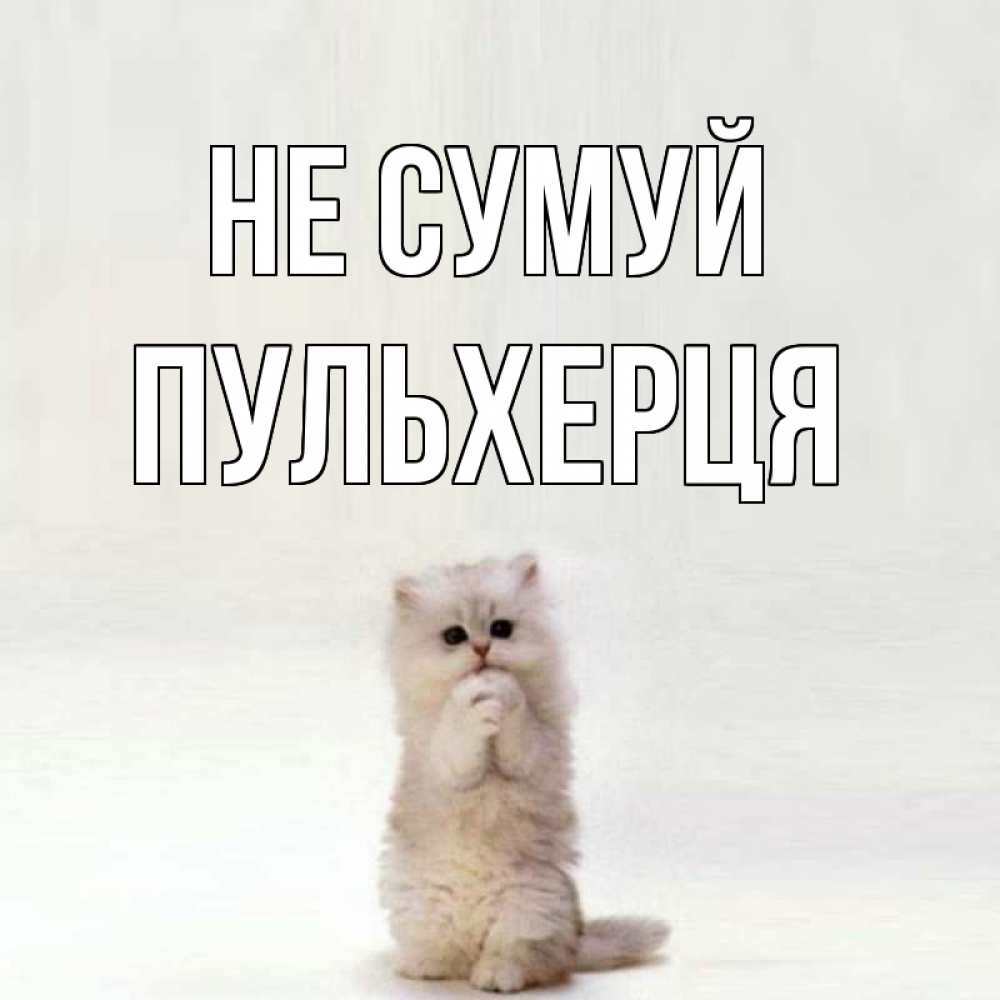 Открытка на каждый день з підписом, Пульхерця Не сумуй грустный кот Прикольна листівка з побажанням онлайн скачати безкоштовно 