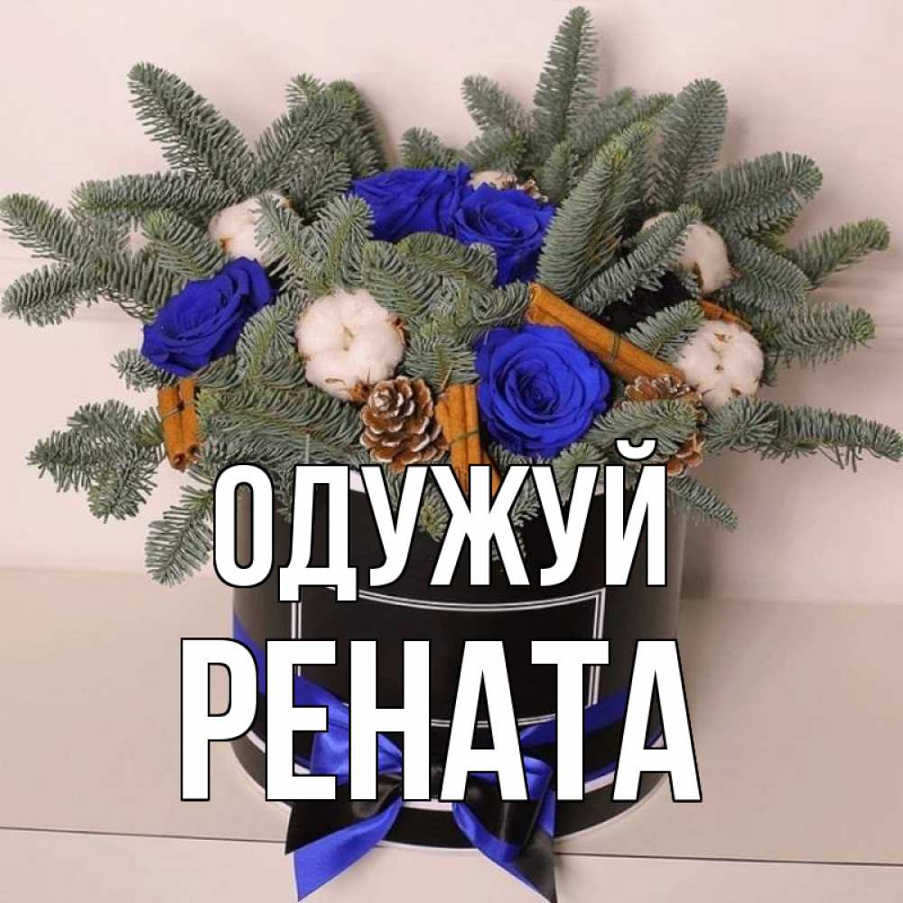 Открытка на каждый день з підписом, Рената Одужуй короче кто то загрузил эти шишки Прикольна листівка з побажанням онлайн скачати безкоштовно 