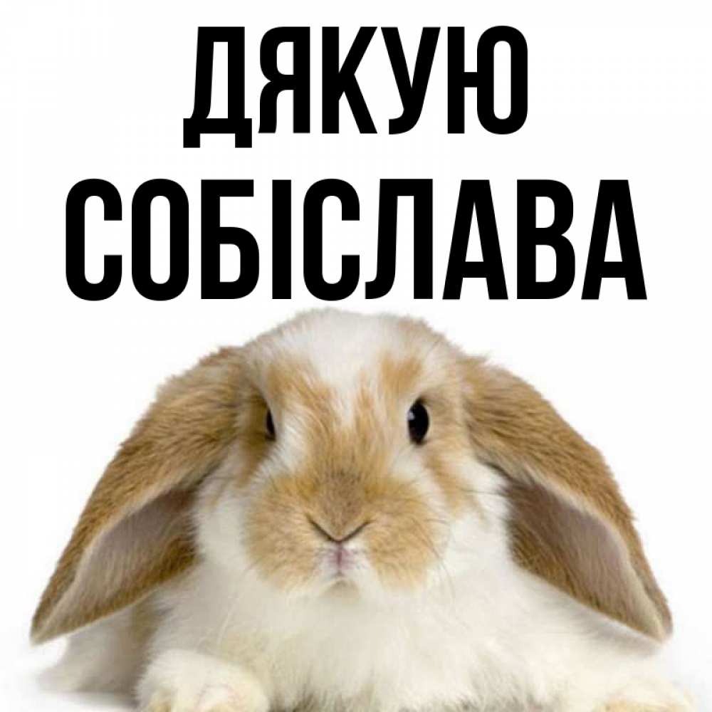 Открытка на каждый день з підписом, Собіслава Дякую коричнево белый заяц Прикольна листівка з побажанням онлайн скачати безкоштовно 