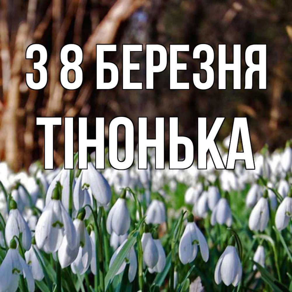Открытка на каждый день з підписом, Тінонька З 8 БЕРЕЗНЯ с подснежниками 1 Прикольна листівка з побажанням онлайн скачати безкоштовно 