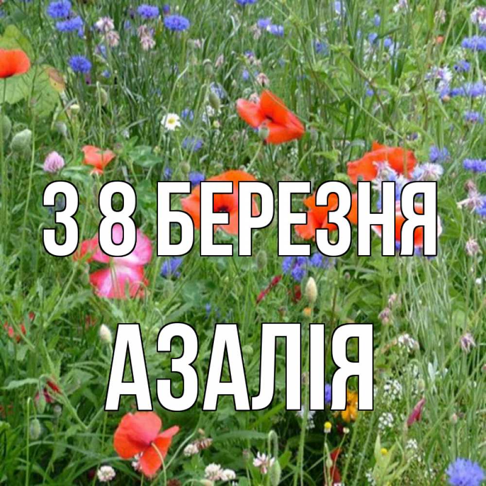 Открытка на каждый день з підписом, Азалія З 8 БЕРЕЗНЯ международный женский день 4 Прикольна листівка з побажанням онлайн скачати безкоштовно 