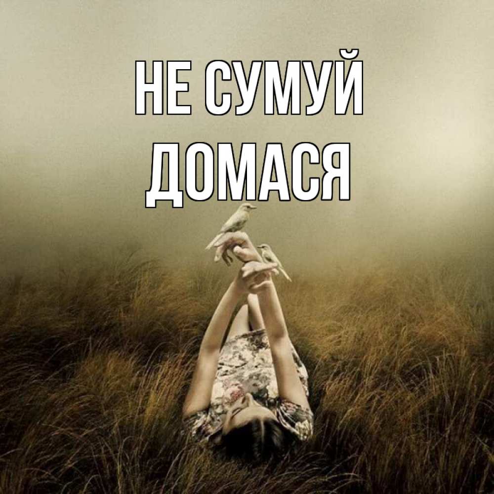 Открытка на каждый день з підписом, Домася Не сумуй поле и туман Прикольна листівка з побажанням онлайн скачати безкоштовно 