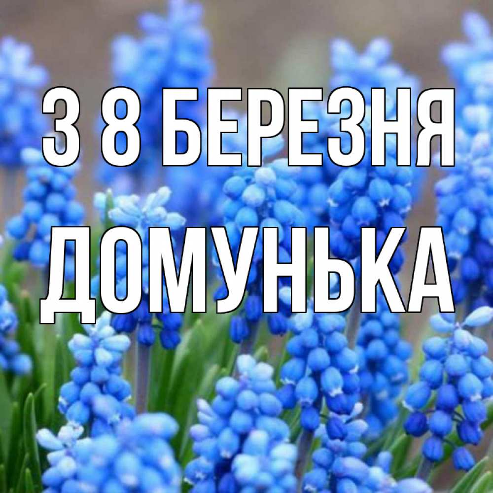 Открытка на каждый день з підписом, Домунька З 8 БЕРЕЗНЯ Поздравительная открытка для женщин с цветами на праздничную дату Прикольна листівка з побажанням онлайн скачати безкоштовно 