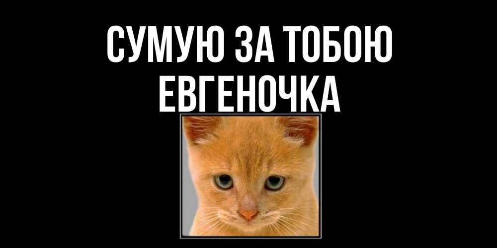 Открытка на каждый день з підписом, Евгеночка Сумую за тобою открытки рыжий котенок скучает по тебе Прикольна листівка з побажанням онлайн скачати безкоштовно 