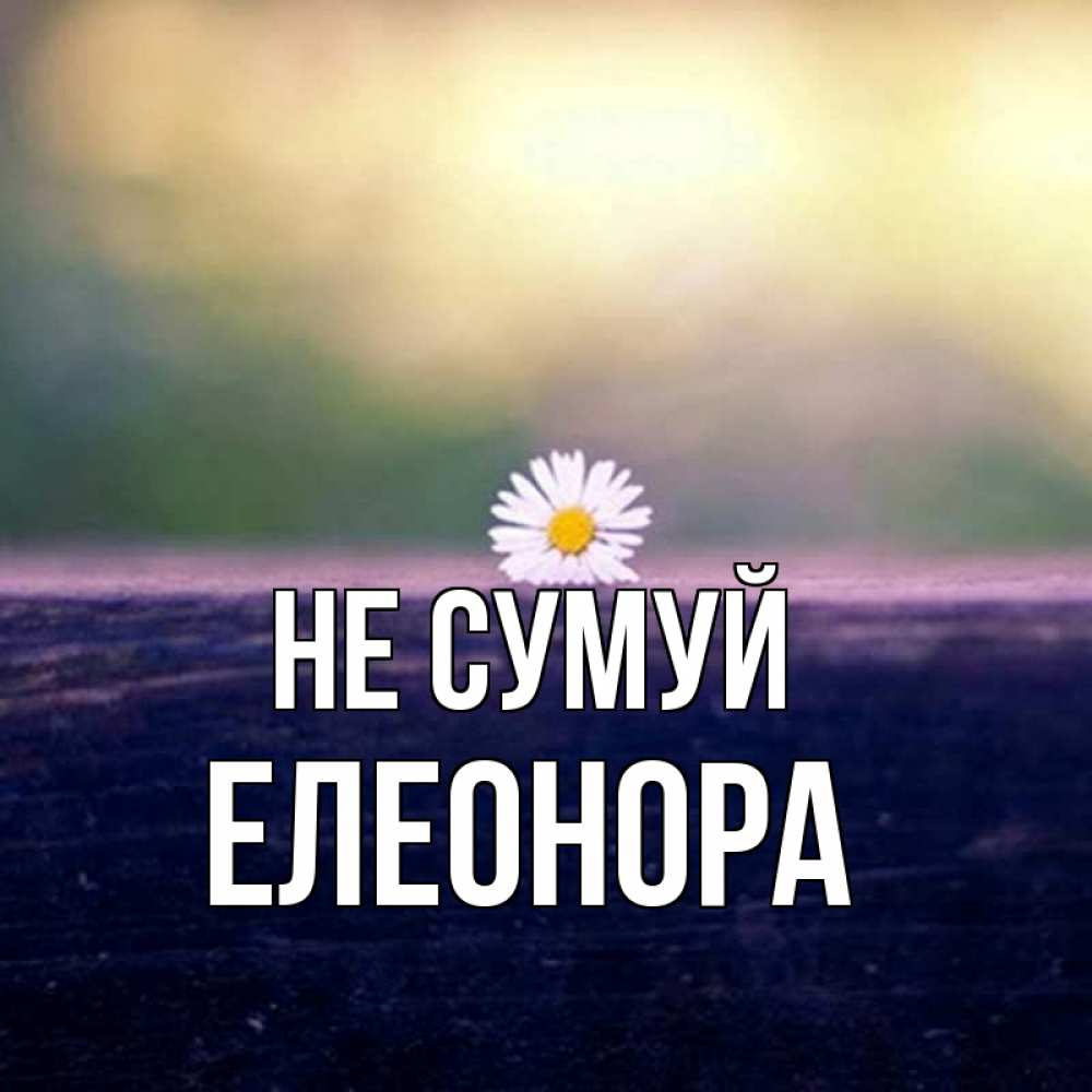 Открытка на каждый день з підписом, Елеонора Не сумуй красота Прикольна листівка з побажанням онлайн скачати безкоштовно 
