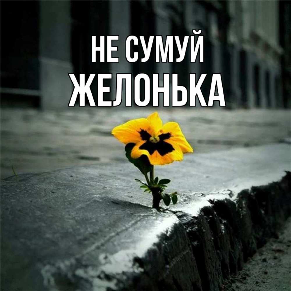 Открытка на каждый день з підписом, Желонька Не сумуй не сдавайся Прикольна листівка з побажанням онлайн скачати безкоштовно 