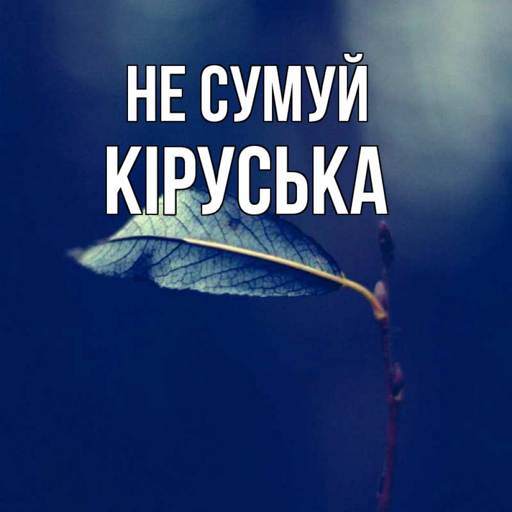 Открытка на каждый день з підписом, Кіруська Не сумуй растение Прикольна листівка з побажанням онлайн скачати безкоштовно 