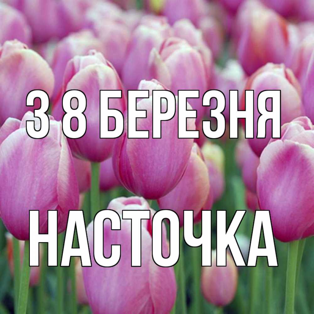 Открытка на каждый день з підписом, Насточка З 8 БЕРЕЗНЯ на международный женский день 3 Прикольна листівка з побажанням онлайн скачати безкоштовно 