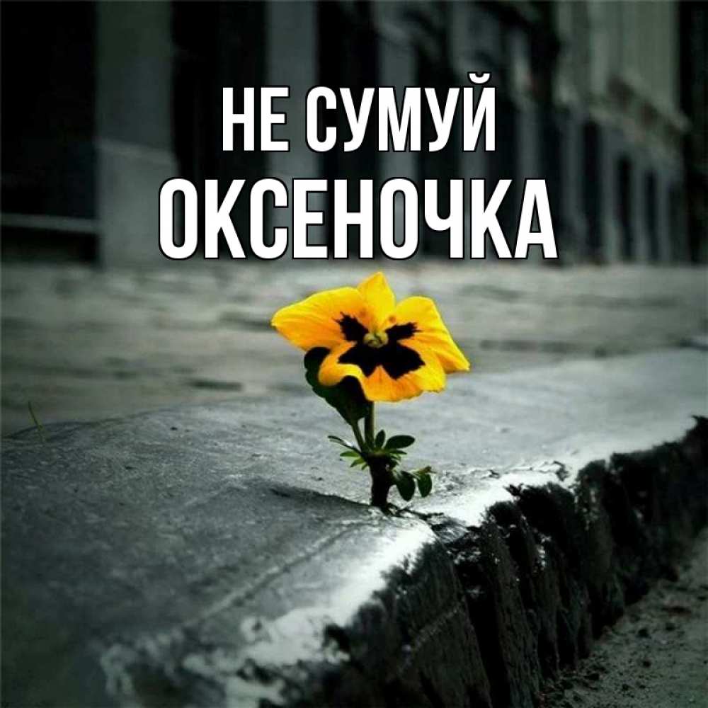 Открытка на каждый день з підписом, Оксеночка Не сумуй не сдавайся Прикольна листівка з побажанням онлайн скачати безкоштовно 
